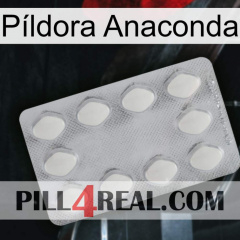 Píldora Anaconda 16